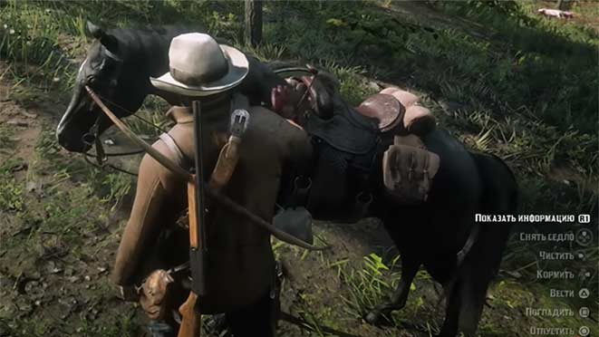 Red Dead Redemption 2 - как помыть лошадь? Red Dead Redemption 2 - как помыть лошадь?